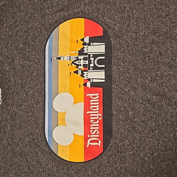 Disney Disneyland Park graphic tee Large ears castle Park merchandise - Picture 4 of 6